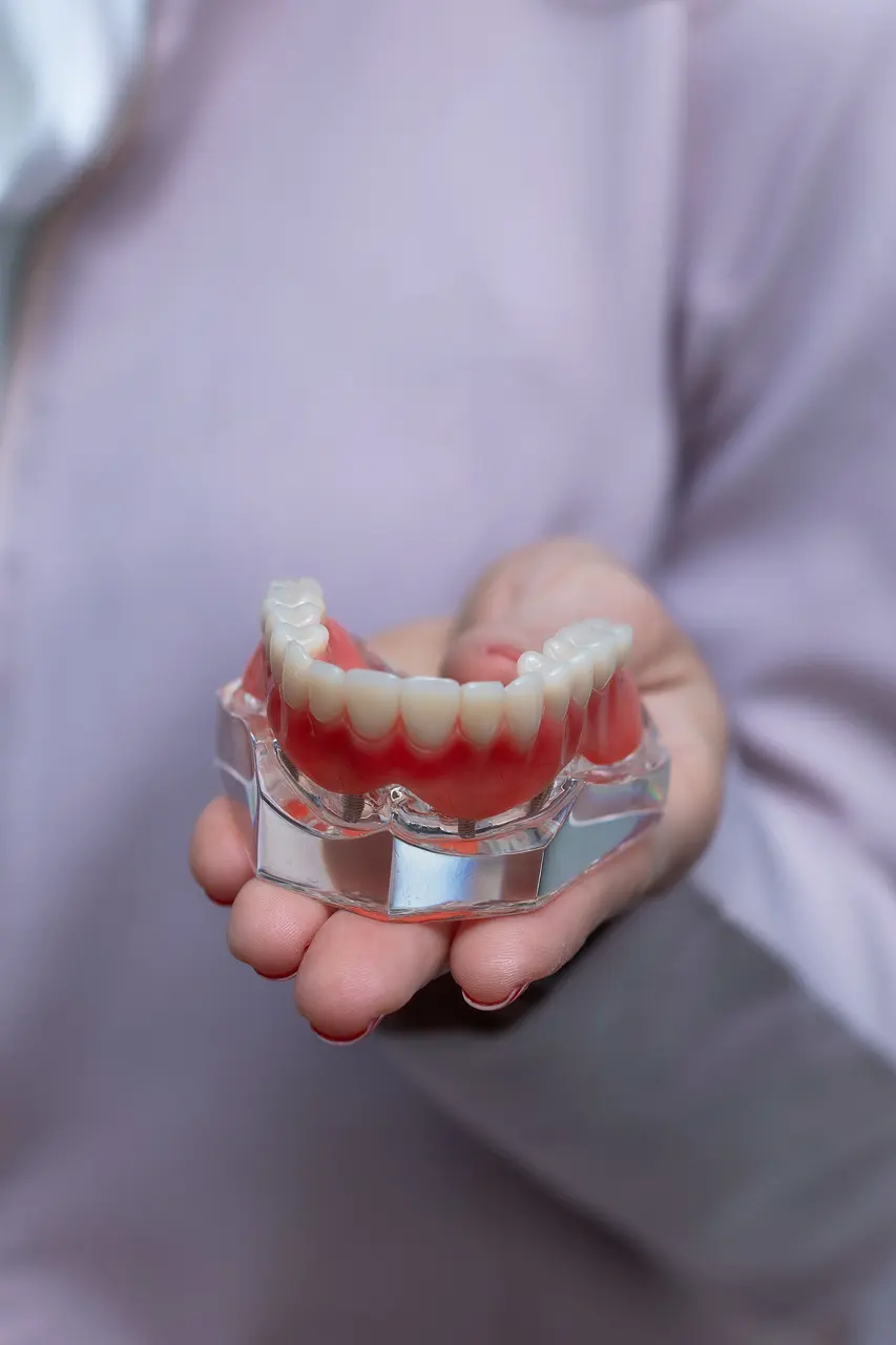 A hand holding a model of a lower denture