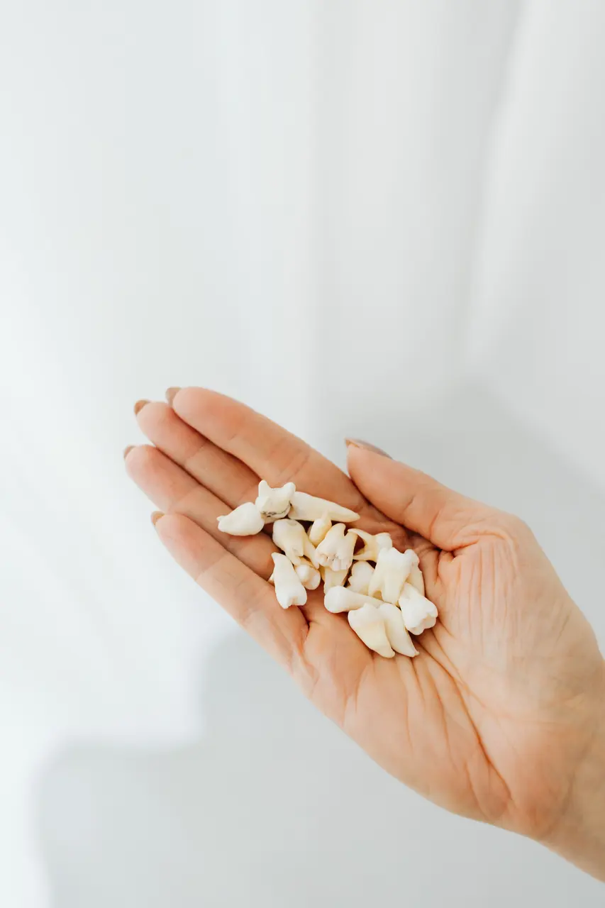 A hand holding a small set of natural teeth